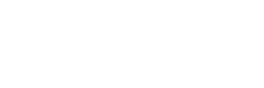Callprint logo